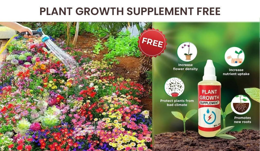 🌻Floral Paradise Pack – 100 Seeds + Free Growth Supplement