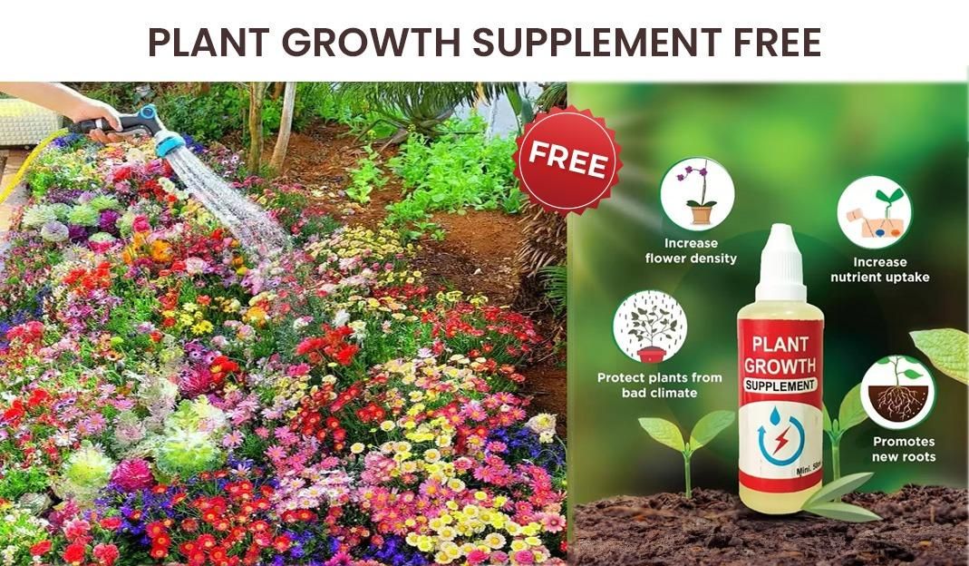 🌻Floral Paradise Pack – 100 Seeds + Free Growth Supplement