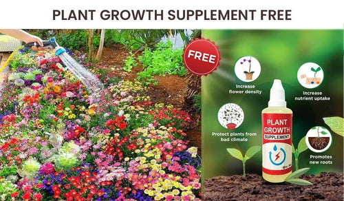 🌻Floral Paradise Pack – 100 Seeds + Free Growth Supplement