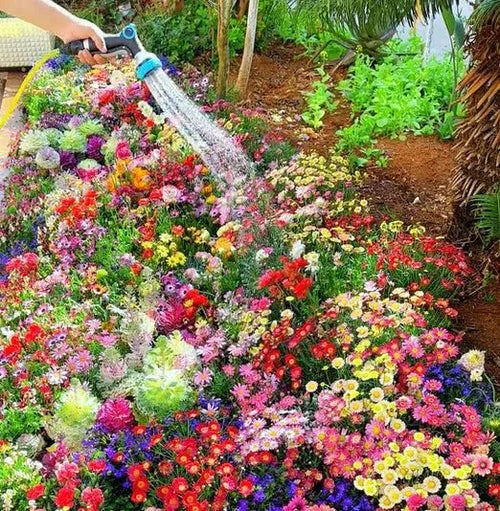 🌻Floral Paradise Pack – 100 Seeds + Free Growth Supplement